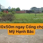 Bán nền đất 255m2 thổ cư đối diện Chợ Đình, Bình Chánh - Ảnh thu nhỏ 1