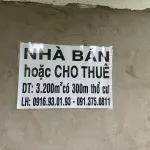 Đất nằm mặt tiền sông tiền và lduong nhựa lam nha nghi gan da cau my tho vagan khu du lich lang xan - Ảnh thu nhỏ 5