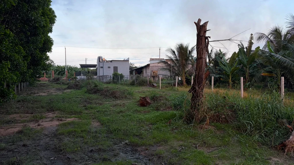 Bán đất vườn 1.300m² view đồng lúa gần Hồ Tràm - Ảnh thu nhỏ 2