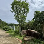 Bán đất 100% thổ cư Búng Gội, 494m2 giá 4.3tỷ, ngang 16.5m view núi đẹp, về sân bay Phú Quốc 20phut - Ảnh thu nhỏ 6