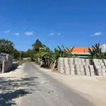 Bán đất vườn mặt tiền đường nhựa 38 Tân Hưng, Bà Rịa, 359m², giá 2,38 tỷ - Ảnh thu nhỏ 2