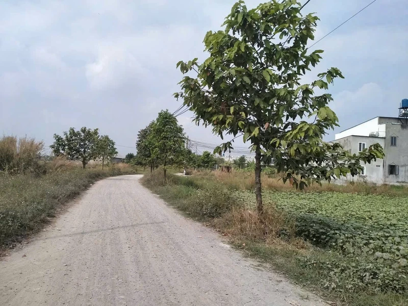 Bán lô đất 150m² thổ cư 100% tại Hoà Khánh, Tây Ninh 933m2