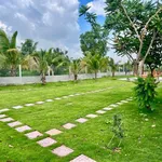 Nhà vườn view sông 1.052m² Bến Lức Long An - Ảnh thu nhỏ 4