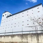 Bán lô đất mặt tiền Đạt Lý, Bình Minh, 380m² - Ảnh thu nhỏ 3