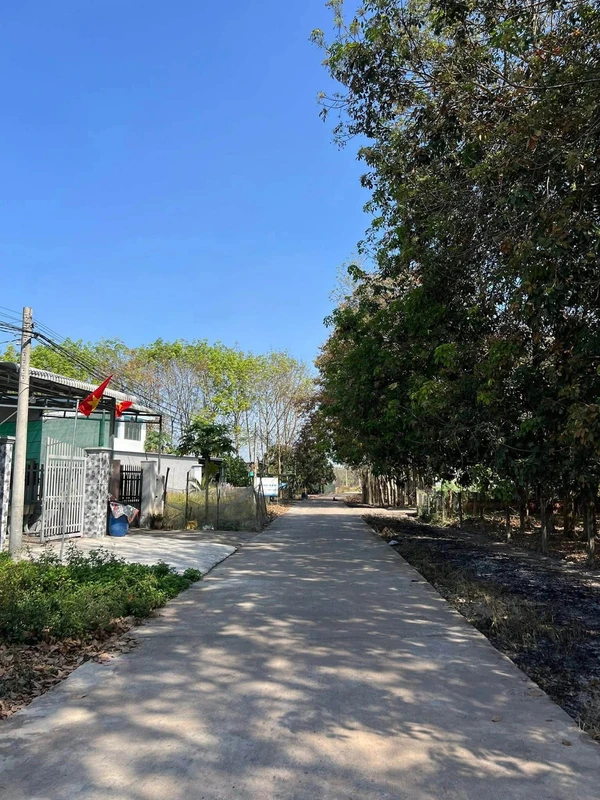 Bán đất 255m² Cao Bá Quát, Chơn Thành, Bình Phước, 5 tỷ