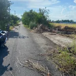 Bán đất thổ 81m2 khu dân cư Nam Phong Dragon, Long An - Ảnh thu nhỏ 2