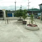Chính chủ cần tiền hạ giá bán nhanh chỉ 5,3 tỷ có nhà đất mặt tiền QL57, Mỏ Cày Nam, có thổ cư - Ảnh thu nhỏ 8