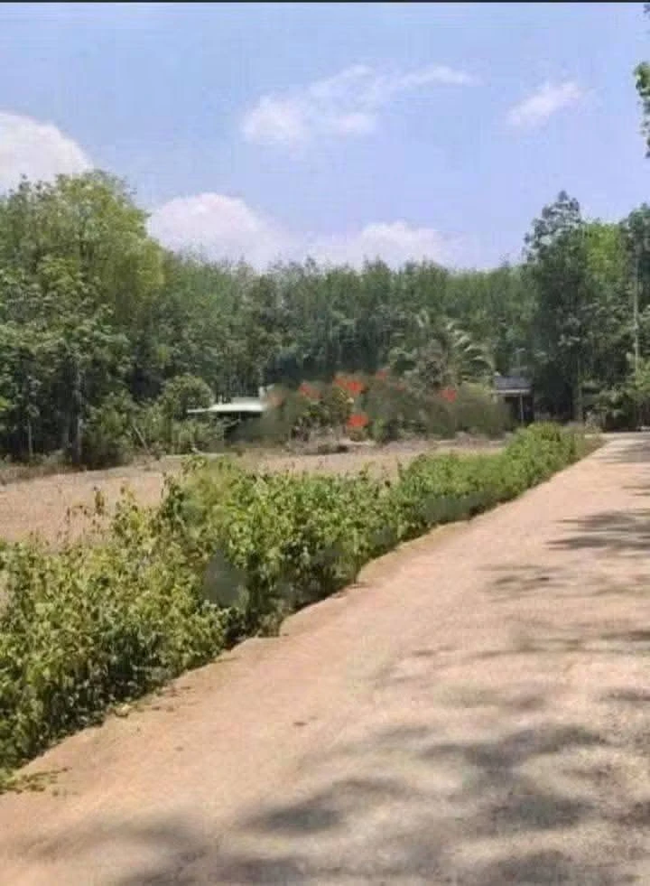 Bán đất Bình Long 300m, thổ cư 100m, giá 150 triệu - Ảnh thu nhỏ 2