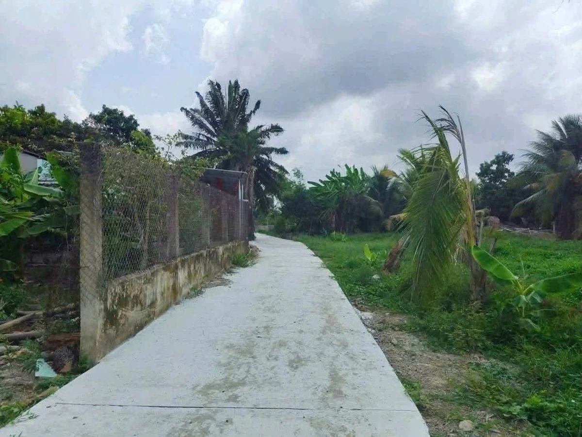 Bán đất 1300m2 (312m2 thổ cư) giá 1 tỷ 299 triệu tại xã Tầm Vu, Tây Ninh - Ảnh thu nhỏ 2