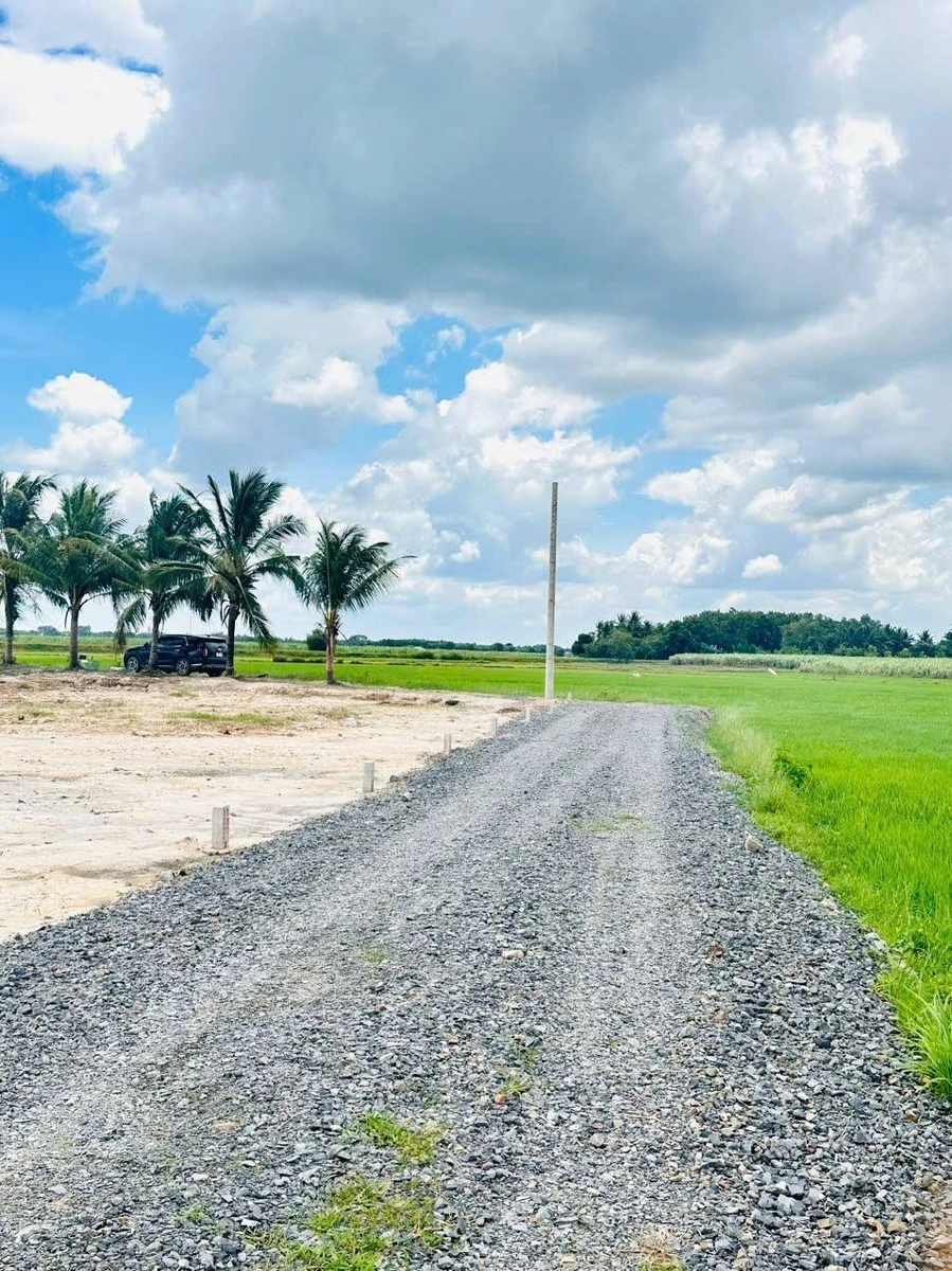 Bán đất 200m2 có 50m2 thổ cư, sổ riêng, giá 165 triệu tại Đồng Khởi, Châu Thành, Tây Ninh - Ảnh thu nhỏ 4