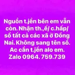 Bán lô đất đường nhựa chợ Hưng Lộc, 195m² sổ riêng Dầu Giây - Ảnh thu nhỏ 1