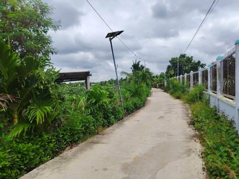 Bán đất thổ cư 516m² Tầm Vu, Châu Thành, Long An 850 triệu