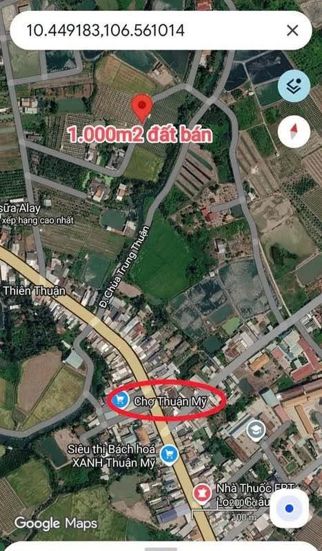 Bán đất nền mặt tiền 1.000m2 tại Bình Chánh - Ảnh thu nhỏ 2