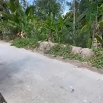 Bán nền 125 m² có thổ cư, lộ bê tông tại Phú Hữu, Cần Thơ - Ảnh thu nhỏ 3
