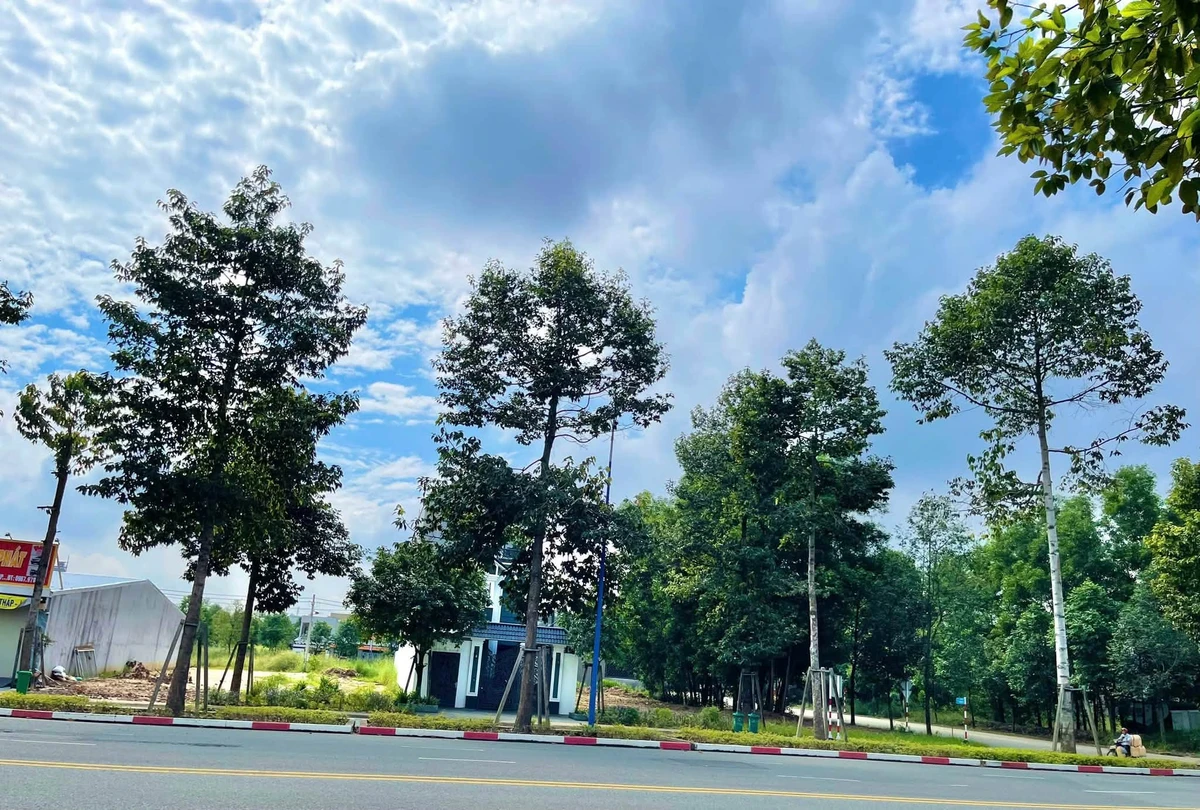 Bán đất 300m2 mặt tiền Vành Đai 4 gần ĐH Việt Đức, Bình Dương giá 3,5 tỷ - Ảnh thu nhỏ 2