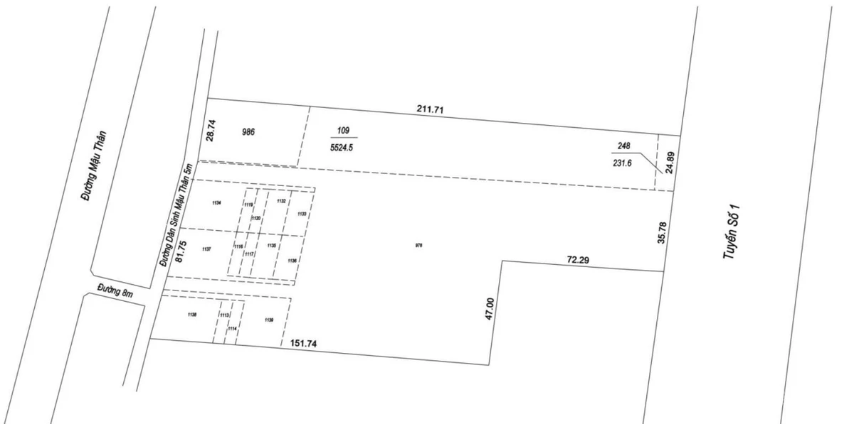 Chủ dự án đầu tư phường Trà Vinh - 20.300m2 thổ cư 65% khoản 13.000m2 - phân nền khoản 120 nền - Ảnh thu nhỏ 4