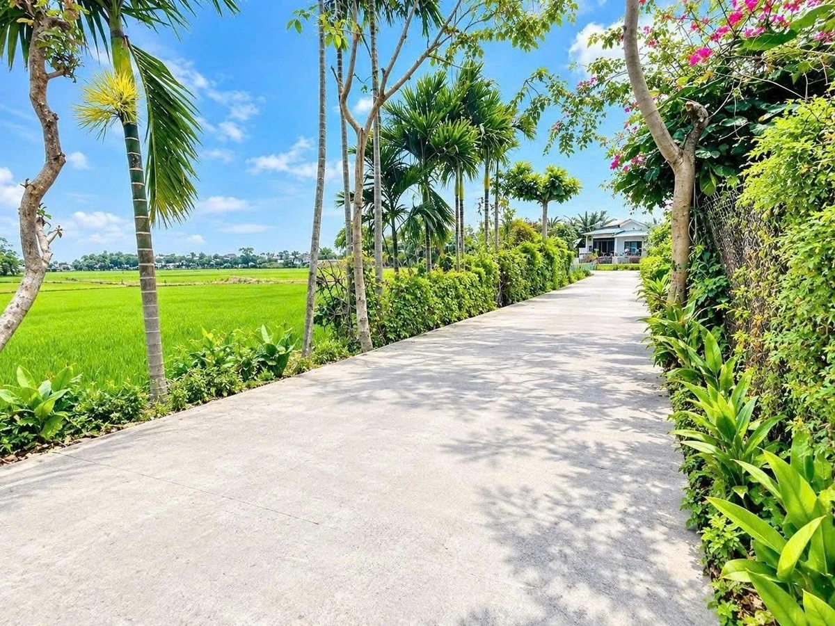 Bán đất nền Điện Hồng Điện Bàn 130m2, 590 triệu - Ảnh thu nhỏ 2