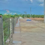 Bán đất 1 sào sổ riêng Long Khánh 1 tỷ 550 triệu - Ảnh thu nhỏ 4