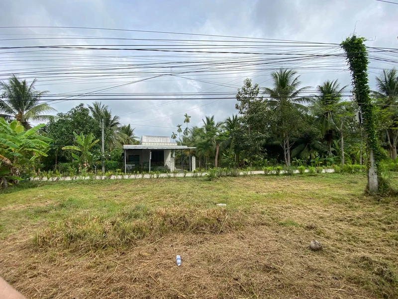 Bán đất mặt tiền 1.300m2 Giồng Trôm, Bến Tre
