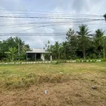 Bán đất mặt tiền 1.300m2 Giồng Trôm, Bến Tre - Ảnh thu nhỏ 1