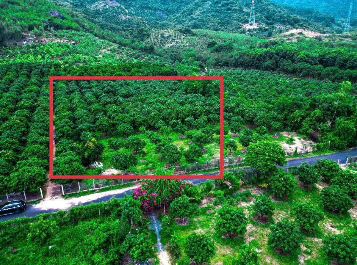 Bán đất Suối Cát Cam Lâm 2.044m² giá 2,2 tỷ - Ảnh 1