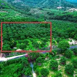 Bán đất Suối Cát Cam Lâm 2.044m² giá 2,2 tỷ - Ảnh thu nhỏ 1