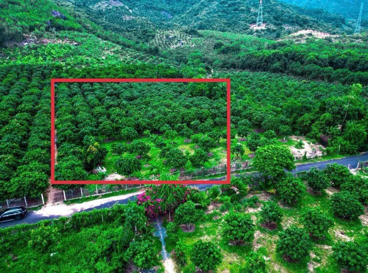 Bán đất Suối Cát Cam Lâm 2.044m² giá 2,2 tỷ - Ảnh 1
