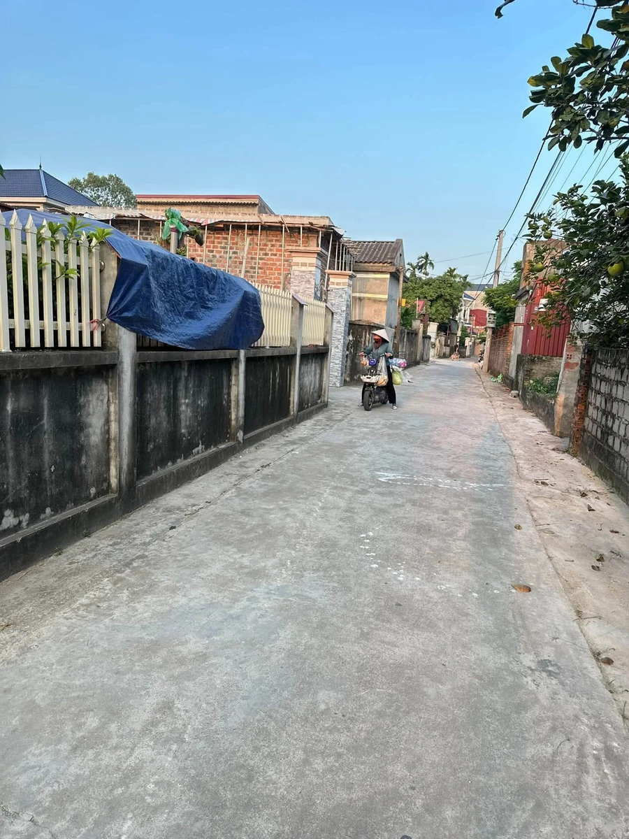 Bán lô đất 123m2 mặt tiền 5.1m ở Ninh Giang, Hải Phòng - Ảnh thu nhỏ 3