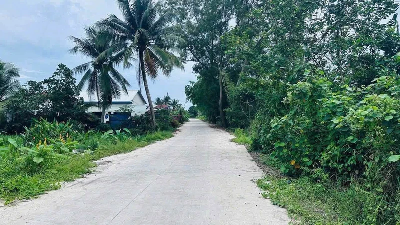 Bán đất lúa 1250m² Đức Hoà Tây Ninh 5 tỷ