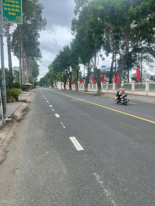 Bán gấp mặt tiền đường Trần Văn Giàu, Ninh Kiều, Cần Thơ - 1.350m2 giá 70 tỷ - Ảnh thu nhỏ 5