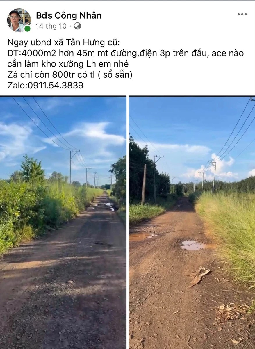 Bán kho xưởng 4000m2 mặt tiền 45m Tân Hưng - Ảnh thu nhỏ 3