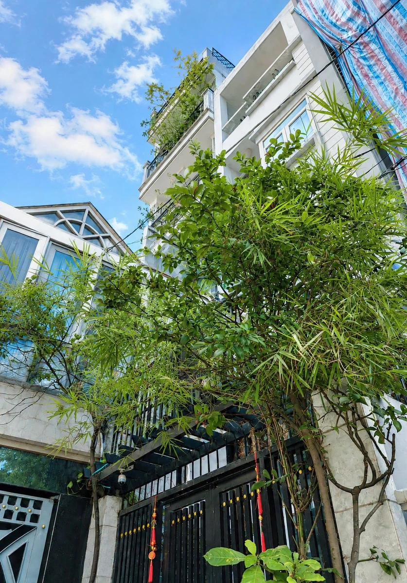Bán CHDV 10 phòng 236m² Cách Mạng Tháng 8, Quận 3 - 10,5 tỷ - Ảnh 1