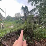 Bán đất 70m² Khối 3 Trung Độ Vinh 800 triệu - Ảnh thu nhỏ 3