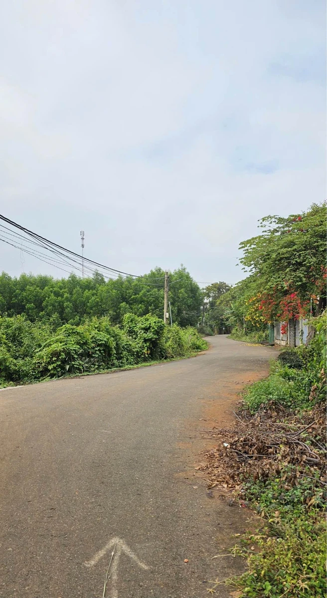 Bán nhà vườn 1500m² 3 phòng ngủ ở Tam Long Thủ Đức - Ảnh thu nhỏ 4