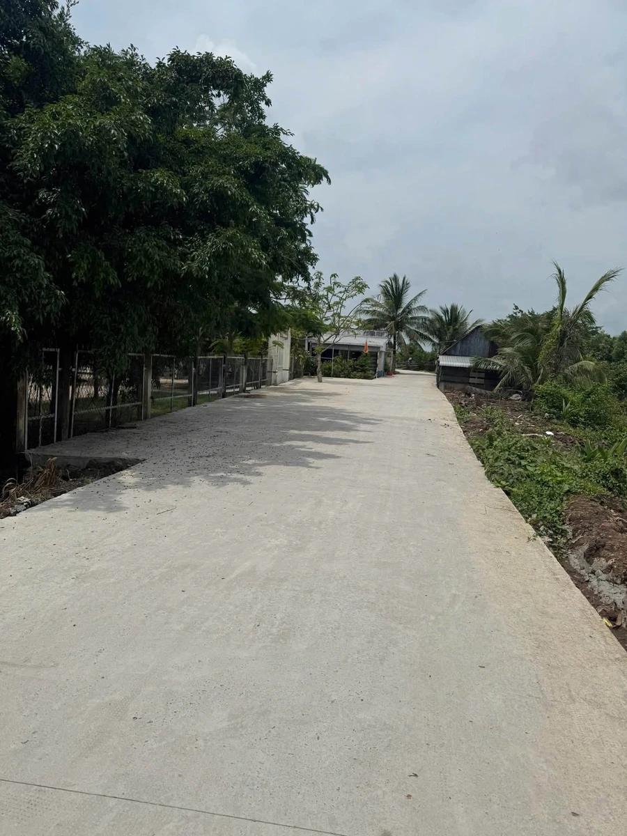 Bán nền đất 100m2 Khóm Lung Dừa Lý Văn Lâm 550 triệu - Ảnh thu nhỏ 2