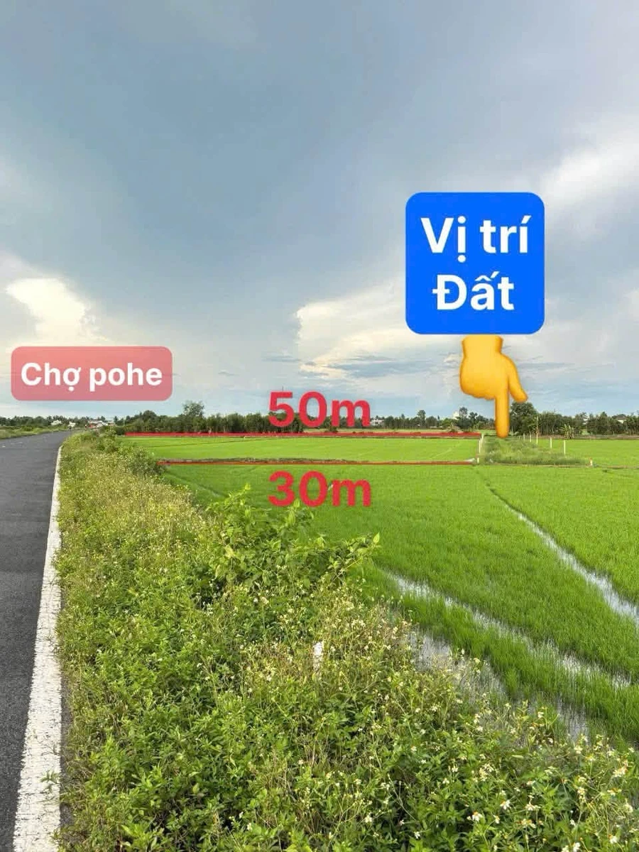 Bán đất làm vườn gần lộ nhựa Minh Lương 980 m² - Ảnh 1