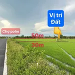 Bán đất làm vườn gần lộ nhựa Minh Lương 980 m² - Ảnh thu nhỏ 1