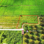 980tr, 1000m2 có thổ cư gần hết đất, gần dự án KCN Hiệp Thạnh, đường bê tông - Ảnh thu nhỏ 19