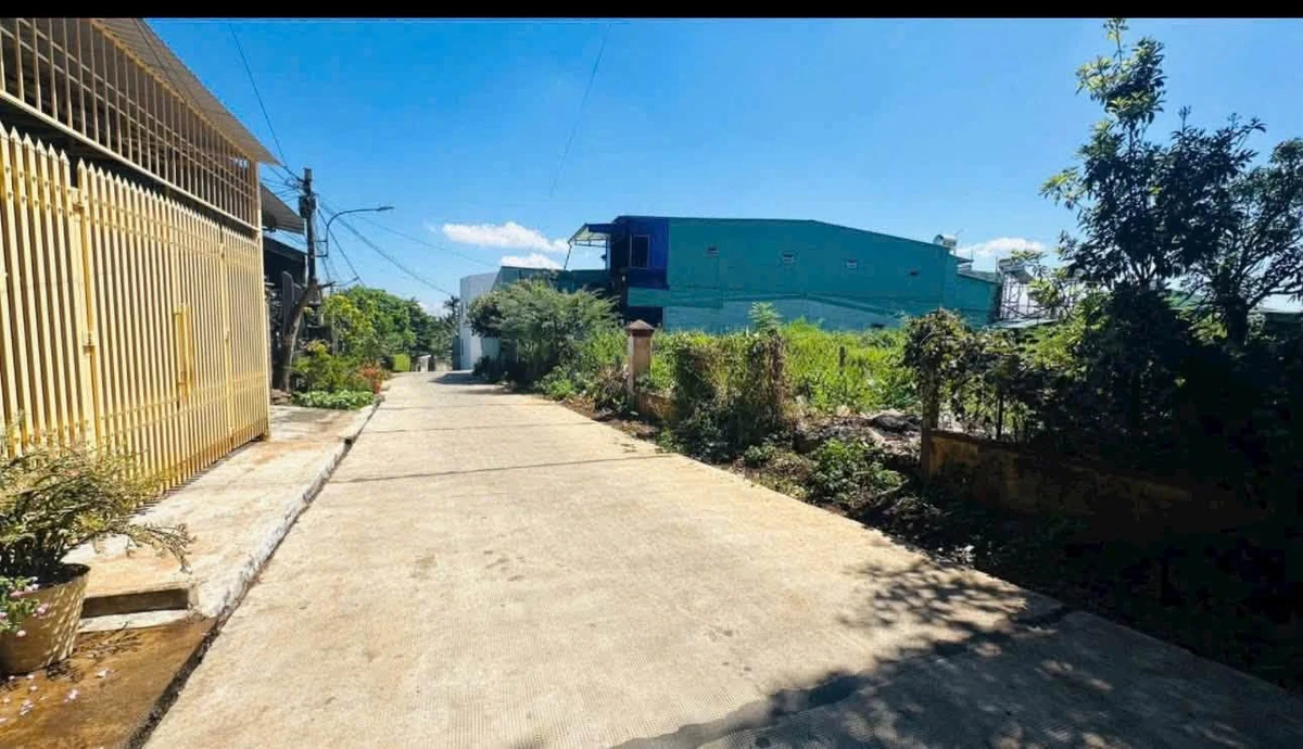 Bán đất hẻm Lê Thị Hồng Gấm, 145m² (5x29), Bình Tân - Ảnh thu nhỏ 2
