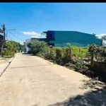 Bán đất hẻm Lê Thị Hồng Gấm, 145m² (5x29), Bình Tân - Ảnh thu nhỏ 2