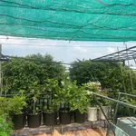 Bán nhà trệt lửng 123m2 thổ cư trung tâm Lái Thiêu, Thuận An, Bình Dương - Ảnh thu nhỏ 5