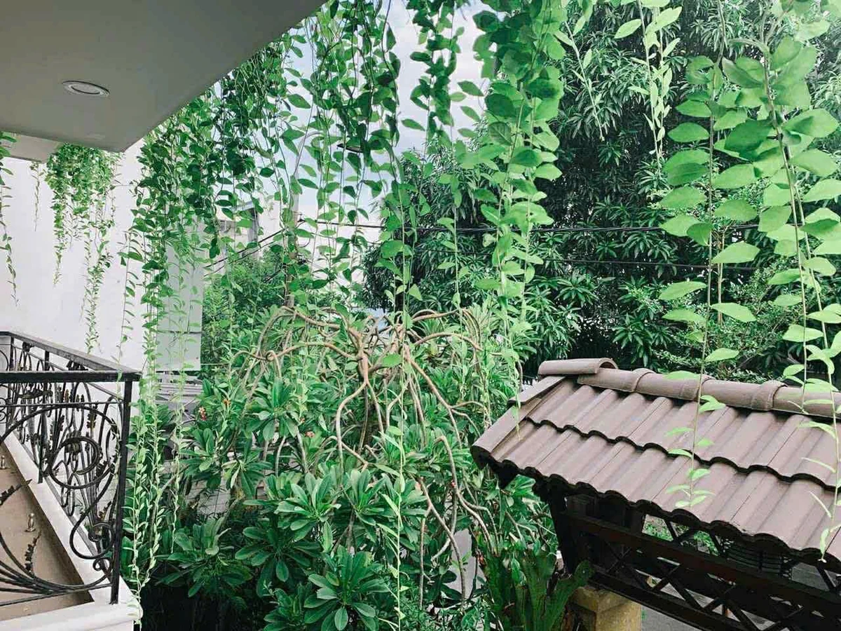 Bán biệt thự sang trọng 150m2 Phú Lộc 1, 12.2 tỷ - Ảnh thu nhỏ 3