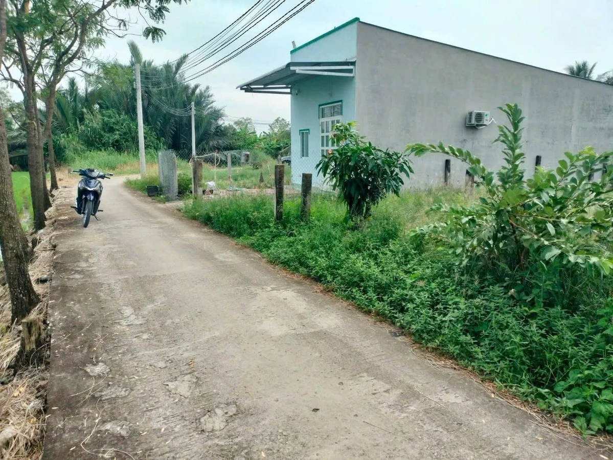 Bán đất Tân Trung Gò Công Tiền Giang 85m² 260 triệu - Ảnh 1