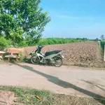 Bán đất làm trang trại 3600 m² Gò Công Đông, Tiền Giang - Ảnh thu nhỏ 1