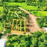 Bán đất thổ cư 60m² giá 189 triệu gần chợ Eahu, Đắk Lắk - Ảnh thu nhỏ 3