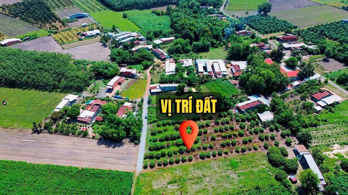 Bán đất thổ cư Tây Ninh 200m² 279 triệu - Ảnh thu nhỏ 4