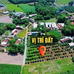 Bán đất thổ cư Tây Ninh 200m² 279 triệu - Ảnh thu nhỏ 4