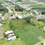 Bán đất Phước Hòa Tây Ninh 5x35m 4 tỷ full thổ cư - Ảnh thu nhỏ 2