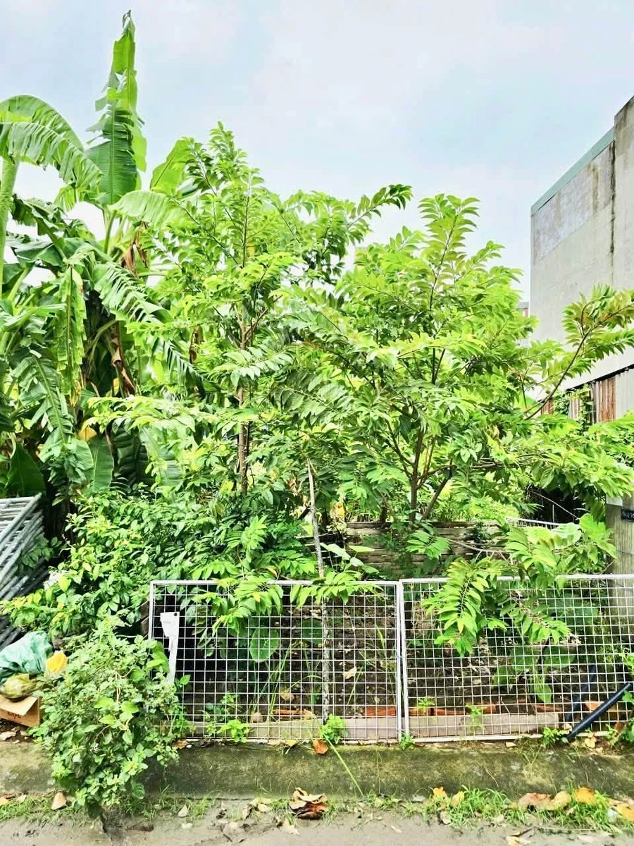 Bán đất nền 54m² KDC Nam Khang, Nguyễn Duy Trinh, Long Trường, Thủ Đức giá 3,48 tỷ - Ảnh thu nhỏ 4