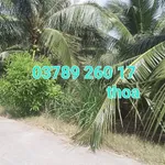 Bán đất 24x42m Thạnh Phú Bến Tre - Ảnh thu nhỏ 2